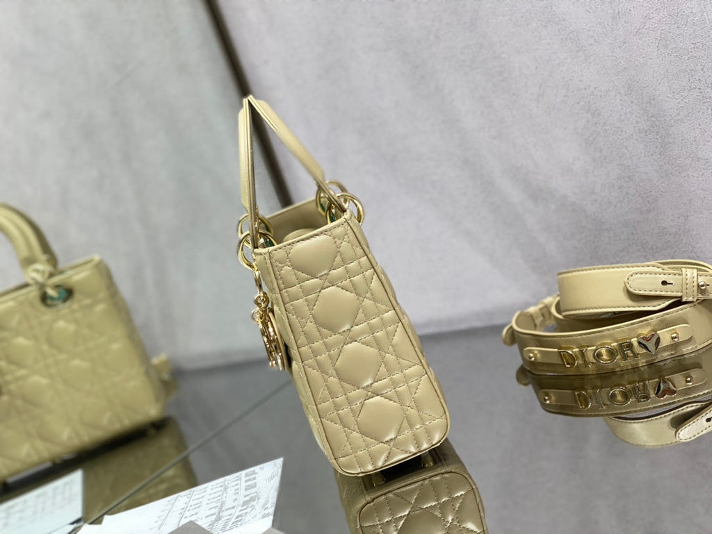 The Lady Dior Bag The ChouChou 20cm - Griserik