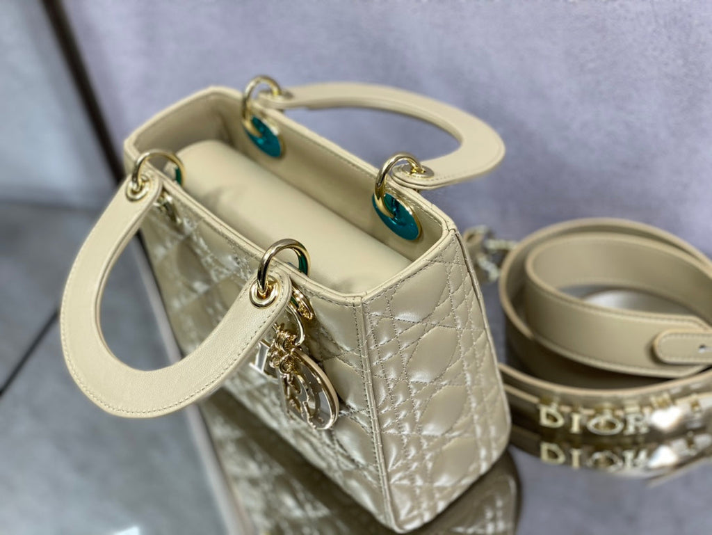 The Lady Dior Bag The ChouChou 20cm - Griserik