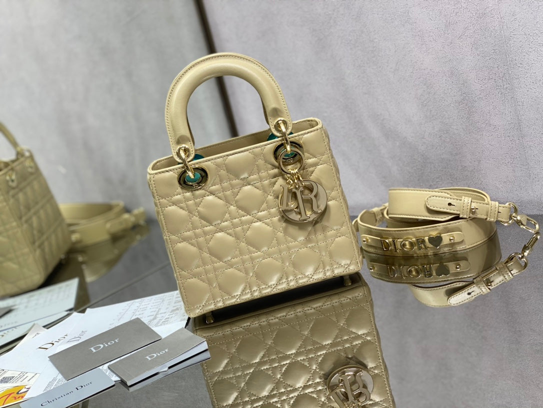 The Lady Dior Bag The ChouChou 20cm - Griserik