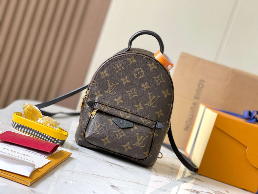 Lv Louis Vuitton Palm Springs Mini backpack in Monogram Canvas - Griserik