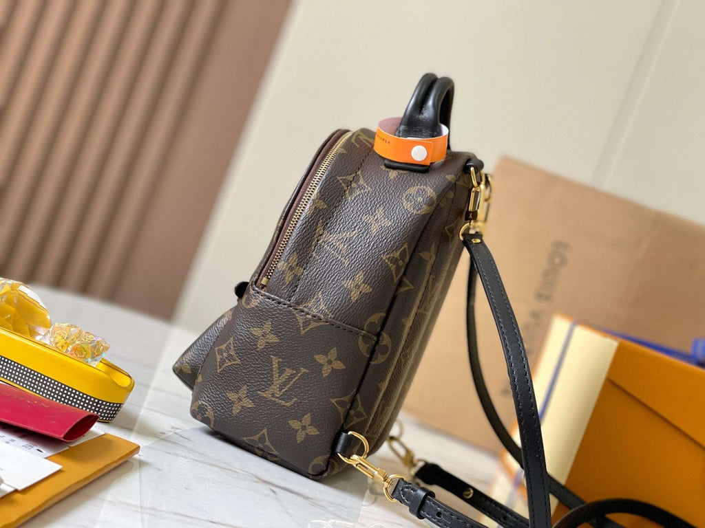 Lv Louis Vuitton Palm Springs Mini backpack in Monogram Canvas - Griserik