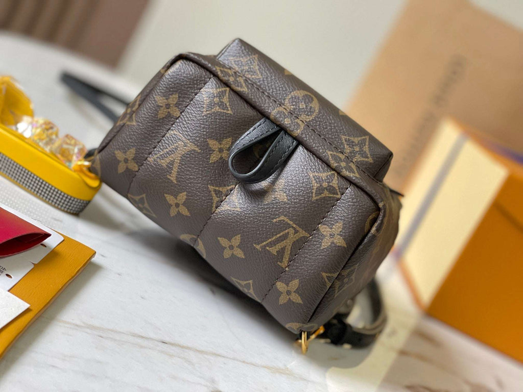 Lv Louis Vuitton Palm Springs Mini backpack in Monogram Canvas - Griserik