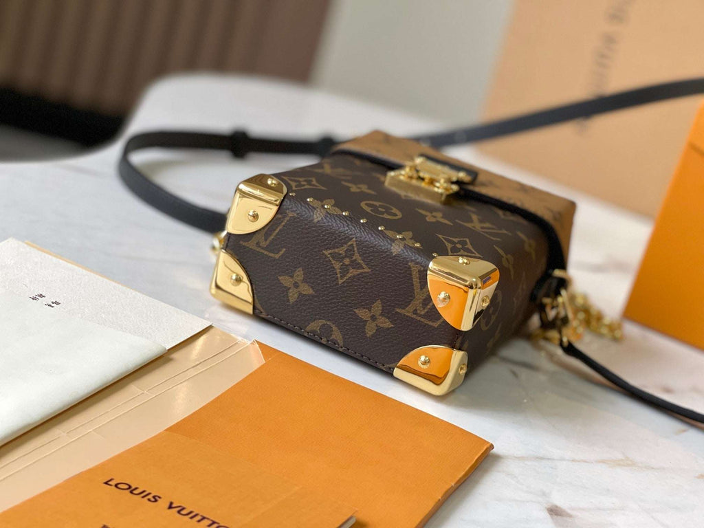 Lv Louis Vuitton Camera Box in Monogram Canvas - Griserik