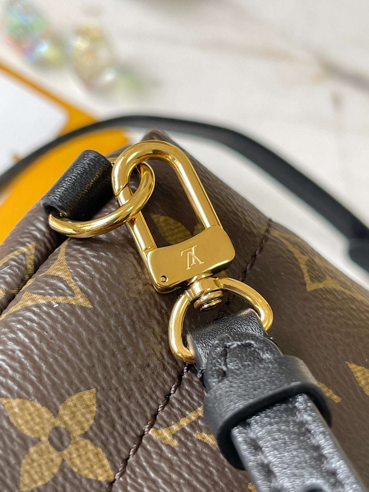 Lv Louis Vuitton Palm Springs Mini backpack in Monogram Canvas - Griserik