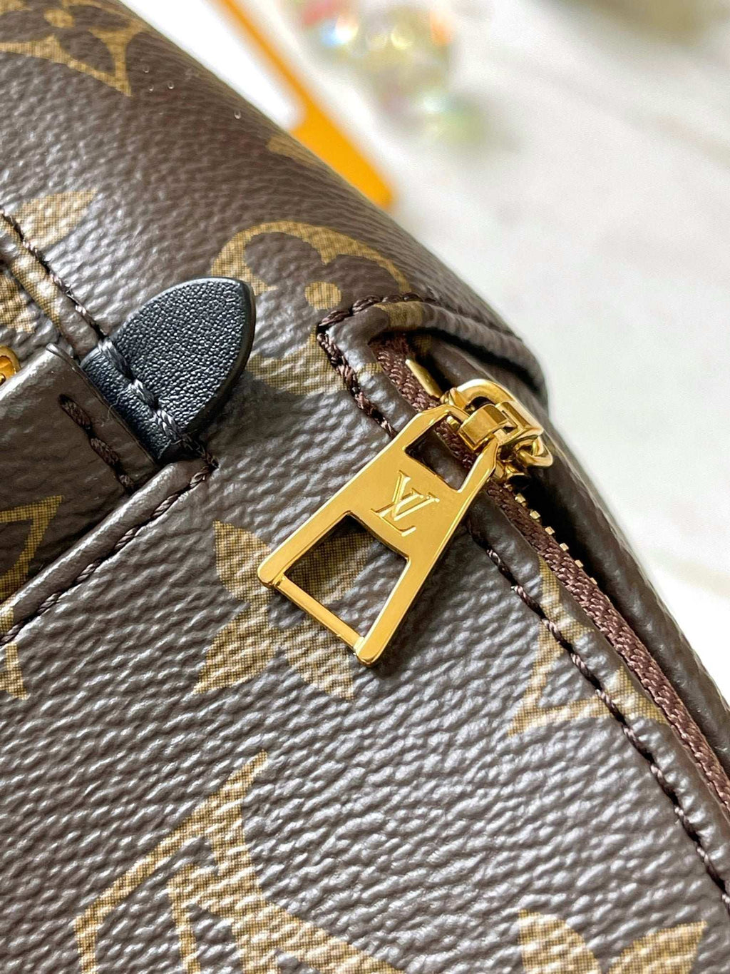 Lv Louis Vuitton Palm Springs Mini backpack in Monogram Canvas - Griserik