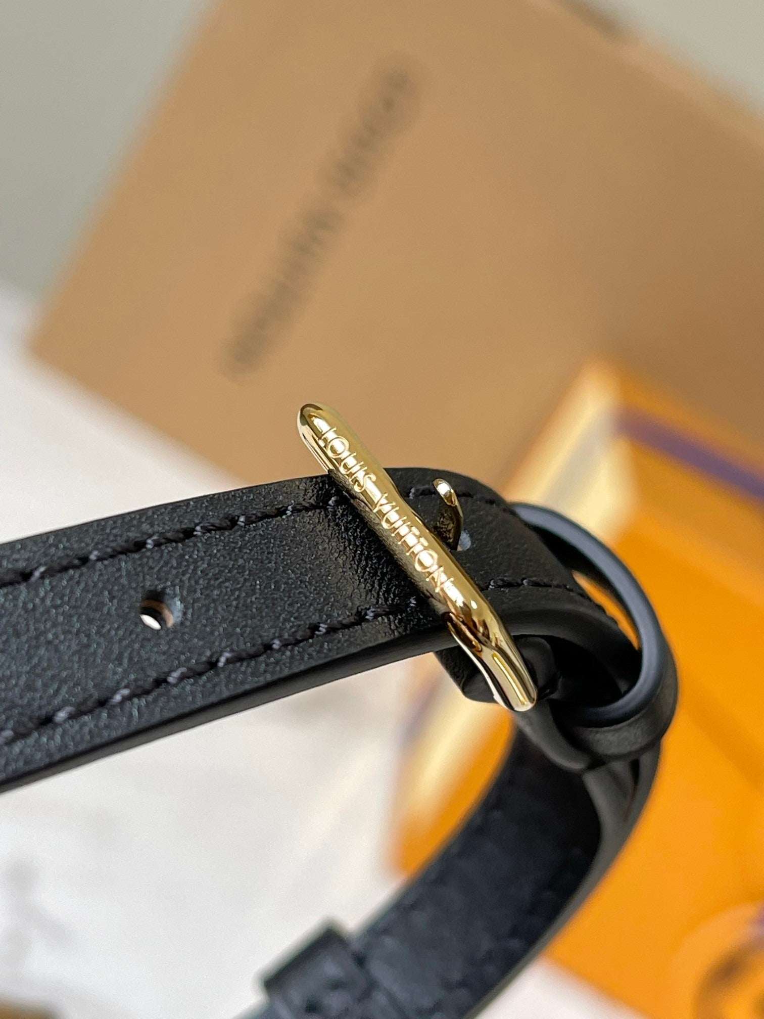 Lv Louis Vuitton Camera Box in Monogram Canvas - Griserik