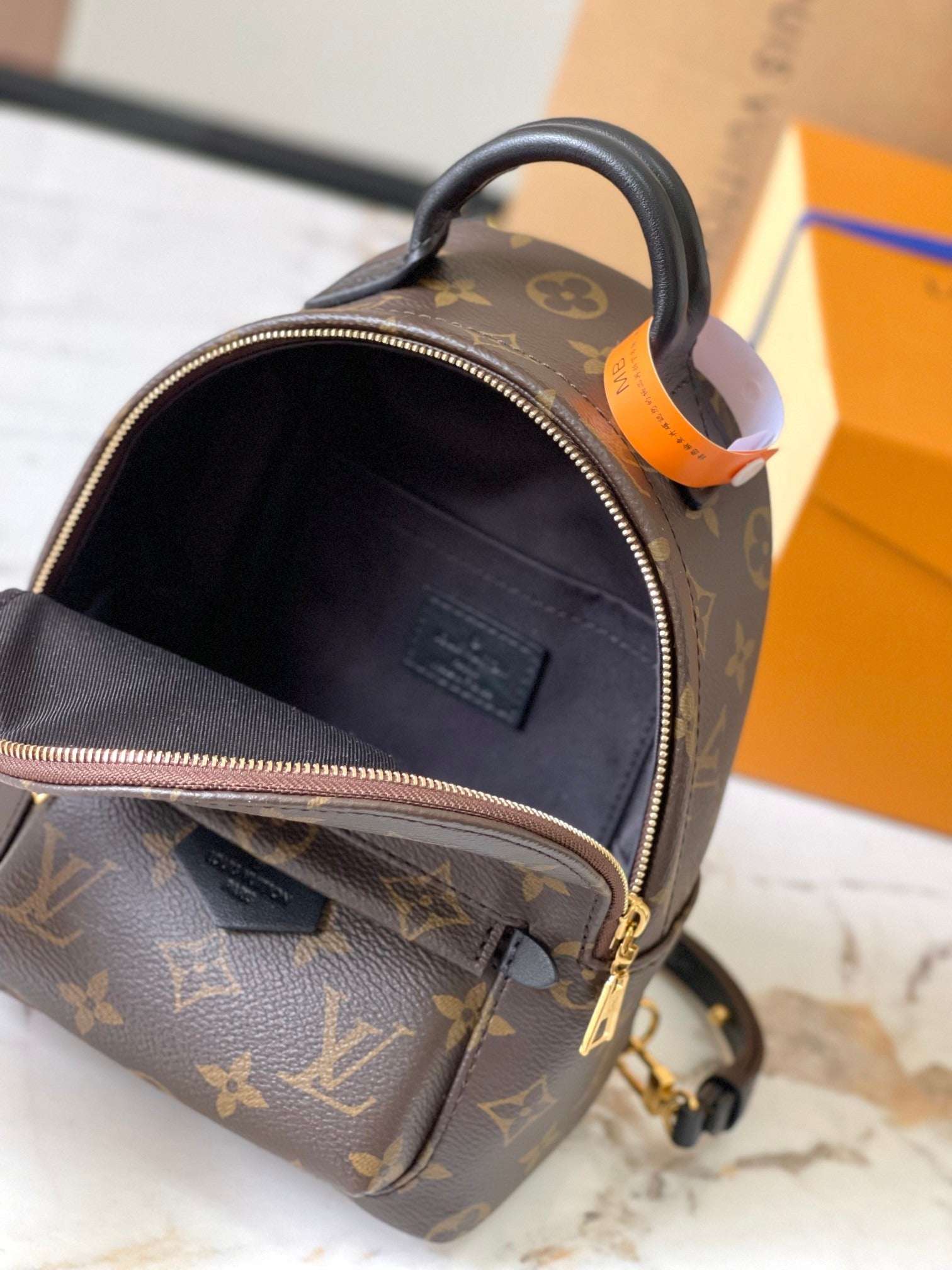 Lv Louis Vuitton Palm Springs Mini backpack in Monogram Canvas - Griserik