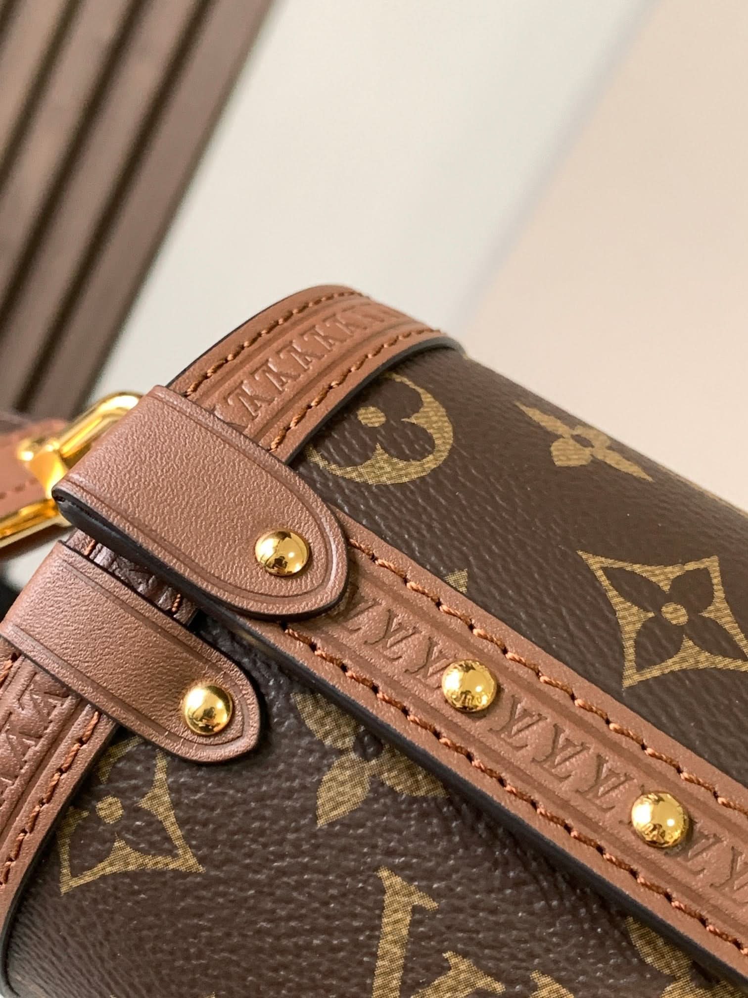 Lv Louis Vuitton Papillon Trunk in Monogram Canvas - Griserik