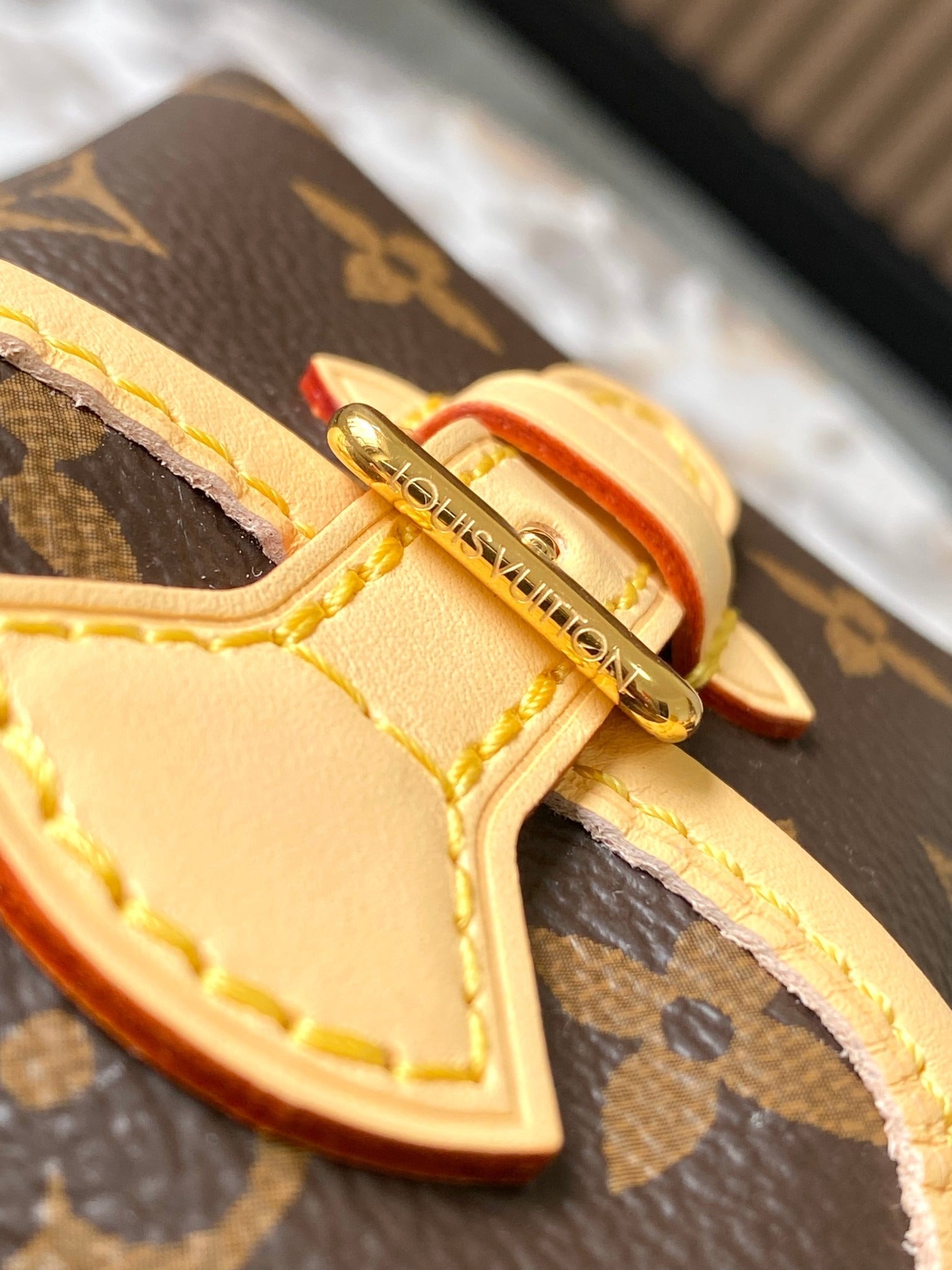 Lv Louis Vuitton Excursion PM in Monogram Canvas - Griserik